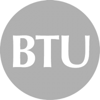 BTU International